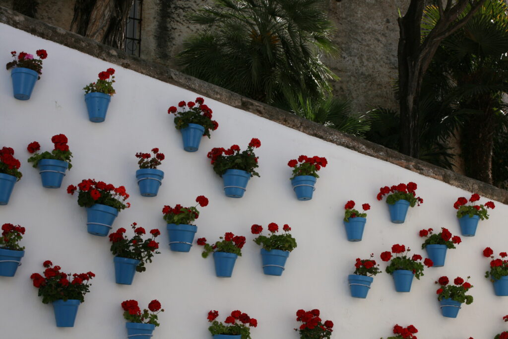 Exploring the Charm of Marbella's Old Town 4