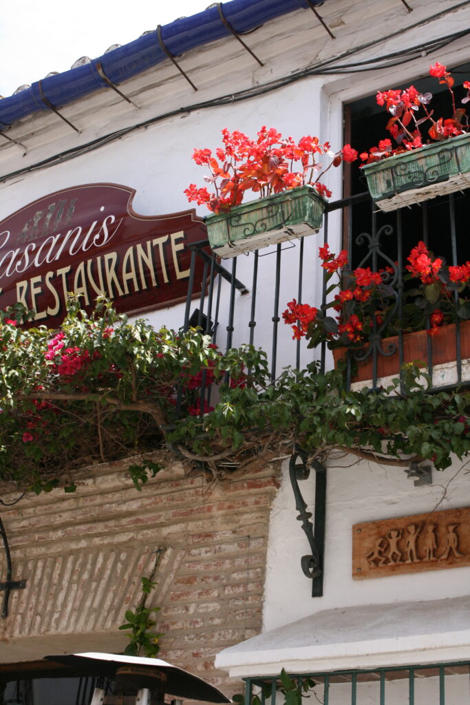 Exploring the Charm of Marbella's Old Town 6