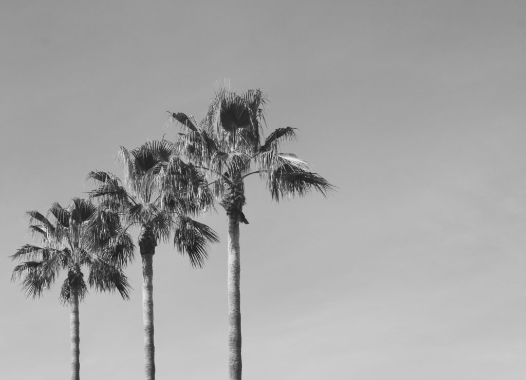 Relocating from the U.S. to Marbella: What You Need to Know 2