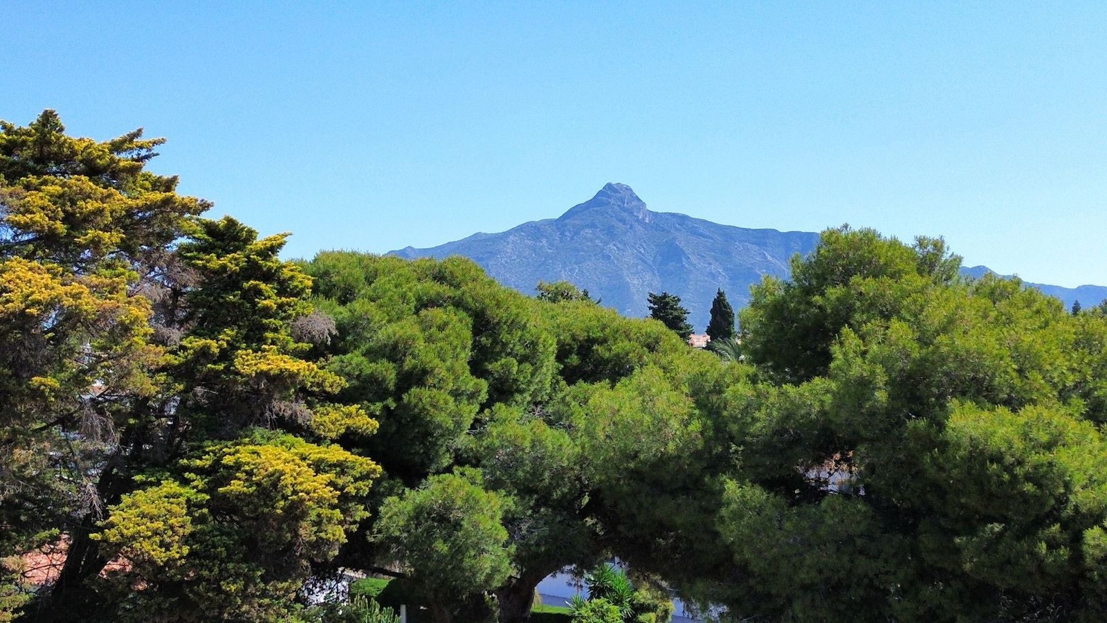 residential plot in Nueva Andalucia, Marbella – image 3