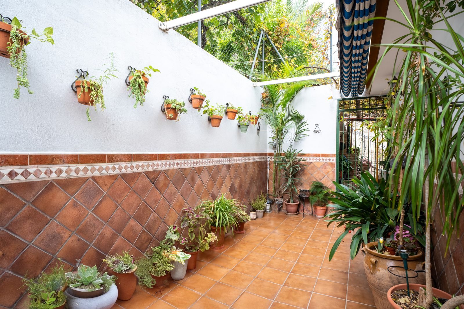 7-bedroom semi-detached house in Estepona Town, Marbella – image 5